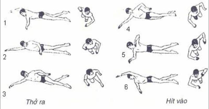5 kỹ thuật thở đúng khi bơi sải