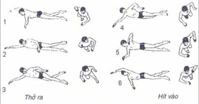 5 kỹ thuật thở đúng khi bơi sải